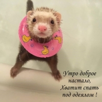���� ������ �������, ������ ����� ��� �������!