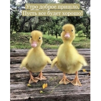 ���� ������ ������, ����� ��� ����� ������!