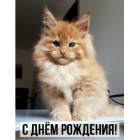 � ���� ��������!