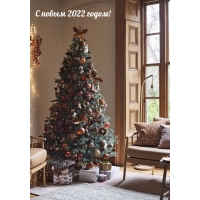 � ����� 2022 �����!