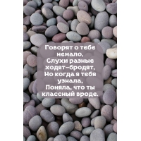 ������� � ���� ������, ����� ������ �����-������