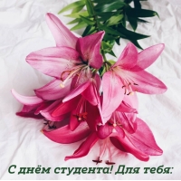 � ���� ��������! ��� ����: