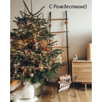 � ����������!)