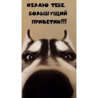 ����� ����, ��������� ��������!