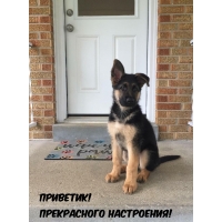 ��������! ����������� ����������!