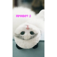 ������ :)