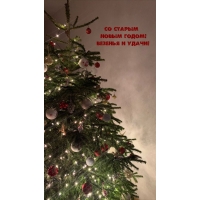 �� ������ ����� �����! ������� � �����!