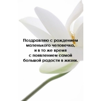 ���������� ���������� ���������� ���������