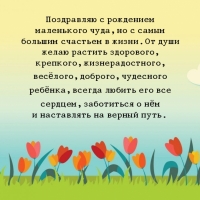���������� ���������� ���������� ����
