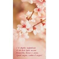 � 8 ����� ���������� � �� ���� ���� ����� ��������, ����� � �����