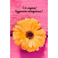 � 8 �����! ��������� ����������!