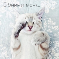 ������ ����..