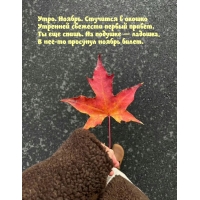 ����. ������. �������� � ������