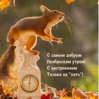 � ������ ���������� �����! � ����������� ������ �� "����"!