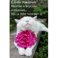 � ���� ��������! ������ � ������� ��������...