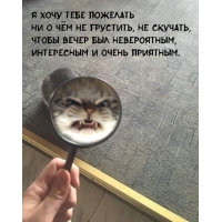 ����� ����� ��� �����������, ���������� � ����� ��������.