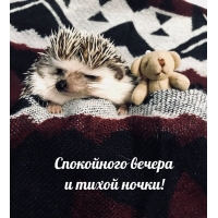 ���������� ������ � ����� �����!