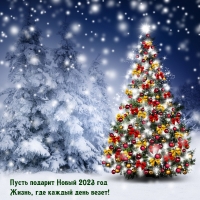 ����� ������� ����� 2023 ��� �����, ��� ������ ���� �����!