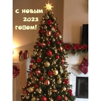 � ����� 2023 �����!