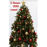 � ����� 2023 �����!