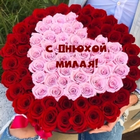 � ������, �����!