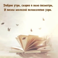 ������ ����, ������ � ���� ��������