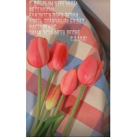� ������ �������� ��������! �������� ���� �����