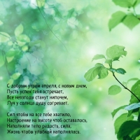 � ������ ����� ������, � ����� ����, ����� ����� ���� ���������