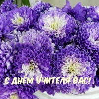 � ���� ������� ���!