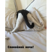 ��������� ����!