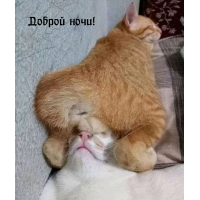 ������ ����!