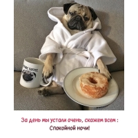 �� ���� �� ������ �����, ������ ���� : ��������� ����!