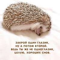 ������ ���� ������, �� � ����� ������.