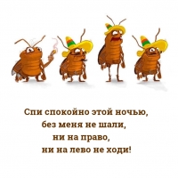 ��� �������� ���� �����, ��� ���� �� ����