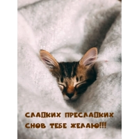 ������� ���������� ���� ���� �����!
