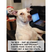 �� ���� - ��� �� �����? � ��������� �� ������? 