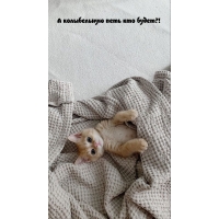 � ����������� ���� ��� �����?!