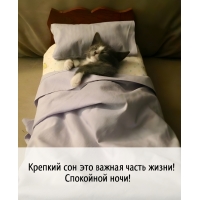 ������� ��� ��� ������ ����� �����! ��������� ����!