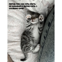 ����� ���, ��� ���� ����� - �� ��������� ���������� :) ������� ����!