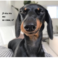 � ��� ��� �� �� ����, �?