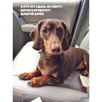 � ��� ��� ����� �� ����?! ����� � ��������! ������ ����!