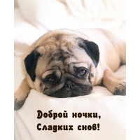 ������ �����, ������� ����!