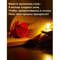 ������ �������� ���� - � ����� ������� ����