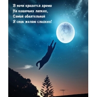 � ���� �������� ����� �� �������� ������