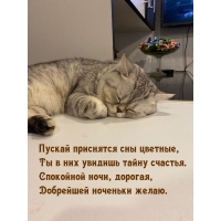 ������ ��������� ��� �������, �� � ��� ������� ����� �������.