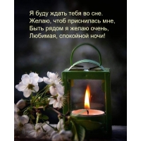 � ���� ����� ���� �� ���. �����, ���� ���������� ���