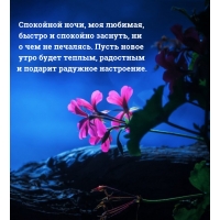 ��������� ����, ��� �������, ������ � �������� �������