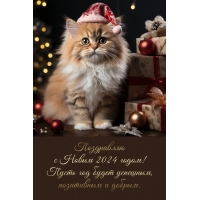 � ����� 2024 �����! ����� ��� ����� ��������