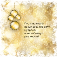 ����� ������� ����� 2024 ��� ����