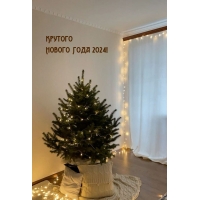 ������� ������ ���� 2024!